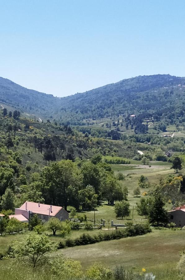 Turismo Rural Macieira Brava Гуарда Екстер'єр фото