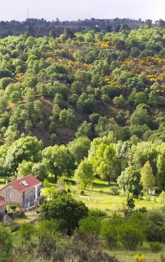 Turismo Rural Macieira Brava Гуарда Екстер'єр фото