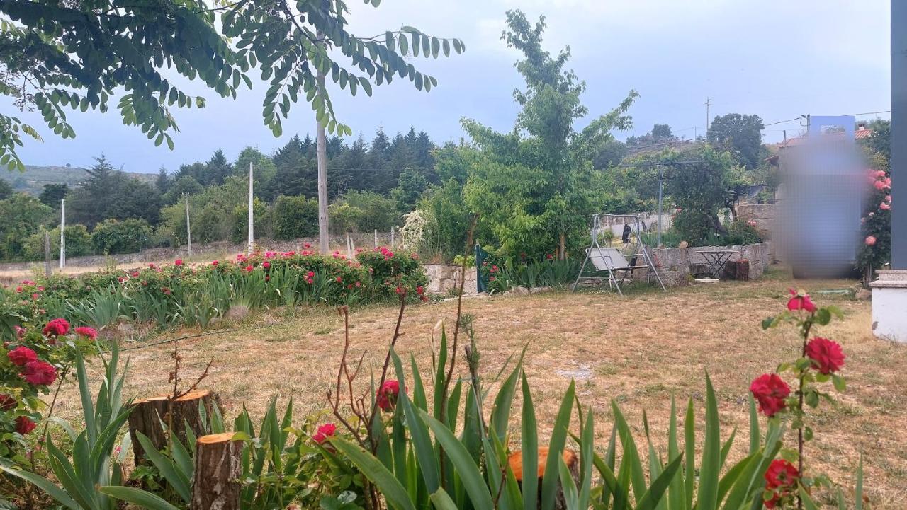 Turismo Rural Macieira Brava Гуарда Екстер'єр фото