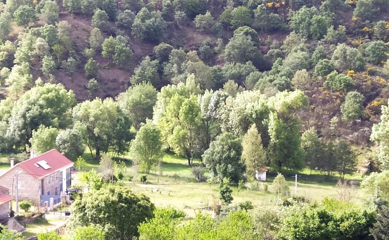 Turismo Rural Macieira Brava Гуарда Екстер'єр фото